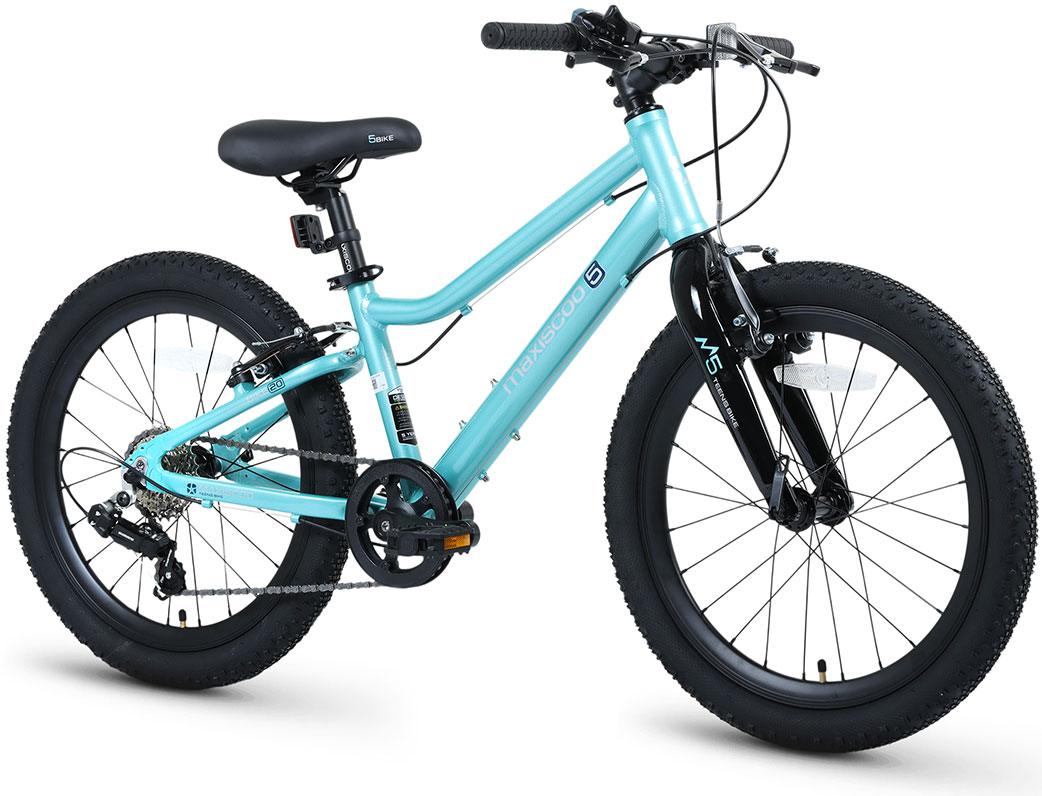 Купить MAXISCOO 5Bike 20 2026