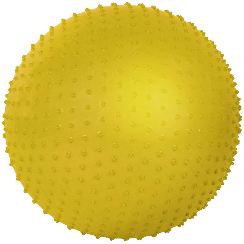 Купить Мяч гимнастический IRON PEOPLE IR97404 массажный 55 см