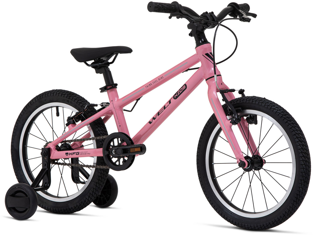 Купить WELT Teddy 16 2025