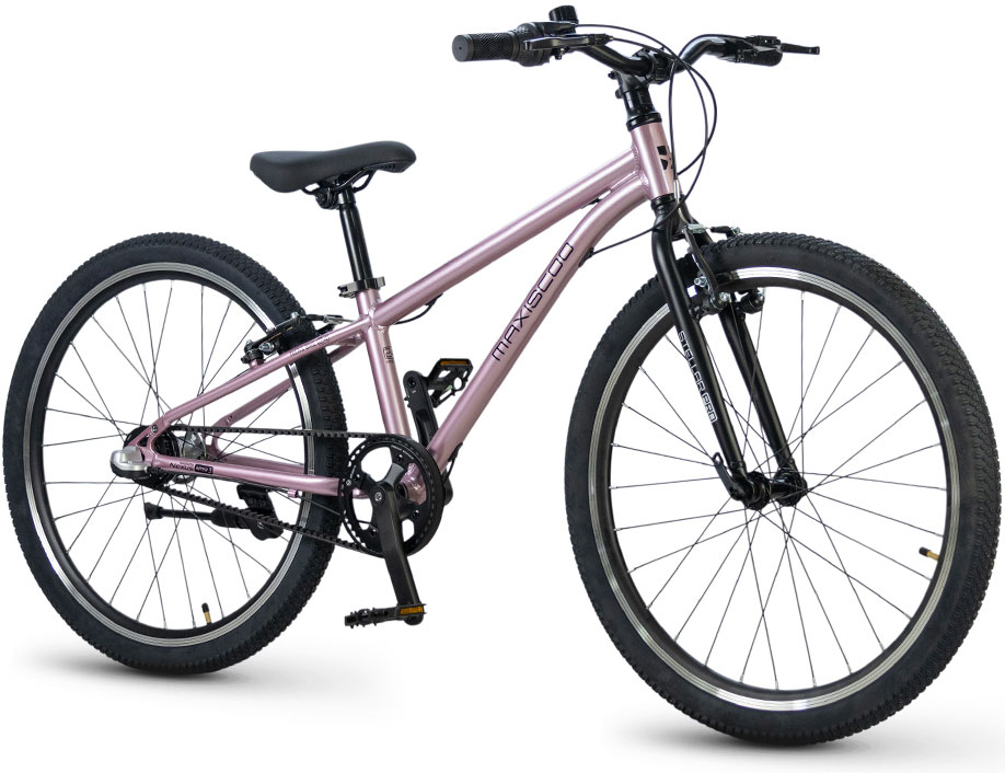 Купить MAXISCOO Stellar Pro 24 2026