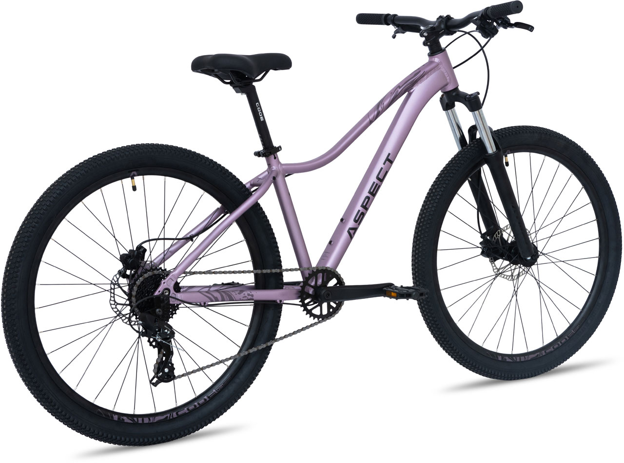 Купить ASPECT Oasis Pro 26 2026