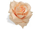 Купить Цветы на руль Electra  дюймов  Rose дюймов  cream  328637